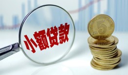 深圳个人哪里可以小额贷款-深圳个人哪里有民间借贷-深圳个人民间短期私借借款